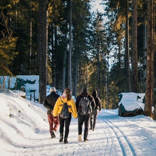 24rent tekomme ympäristön eteen 24rent tekomme ympäristön eteen