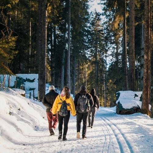 Mitä on hiilikompensointi