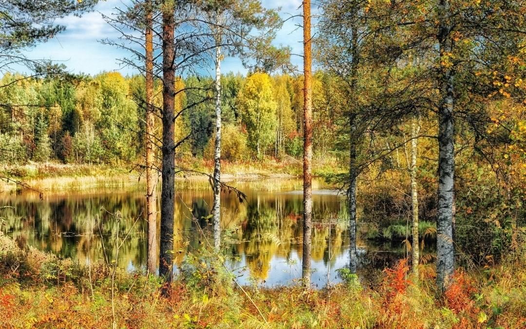 Miten yhteiskäyttöautoilu auttaa ympäristöä?