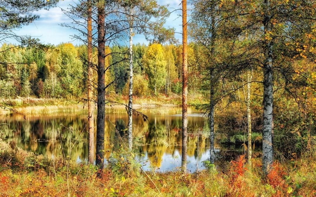 Miten Yhteiskäyttöautoilu Auttaa Ympäristöä