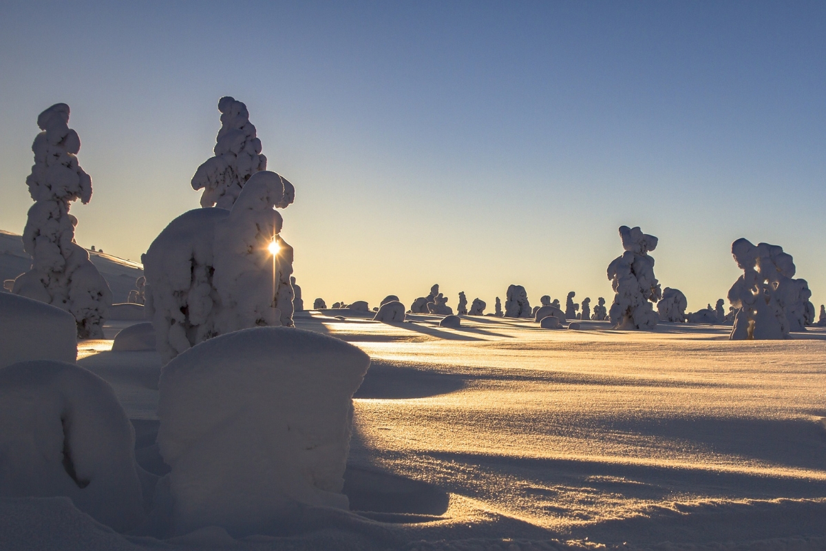 Juna ja auton vuokraaminen - näe Lappi helposti