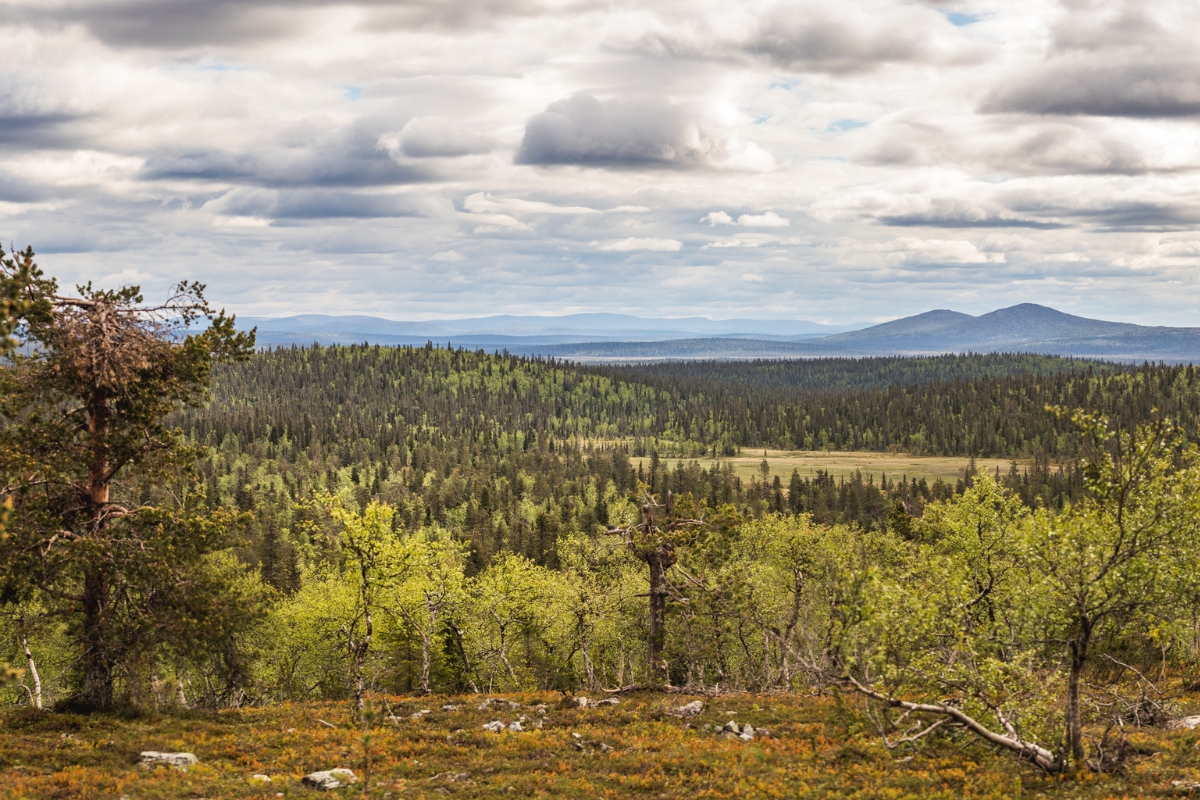 Nothing beats the views of Nattaset. 